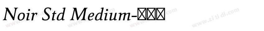 Noir Std Medium字体转换